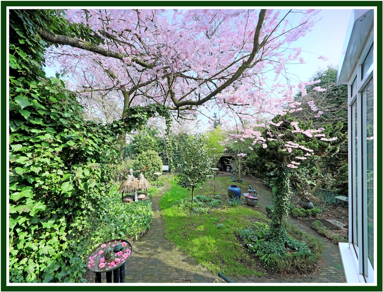 Garten-Kirsche1-Ex Einfamilienhaus Hamburg